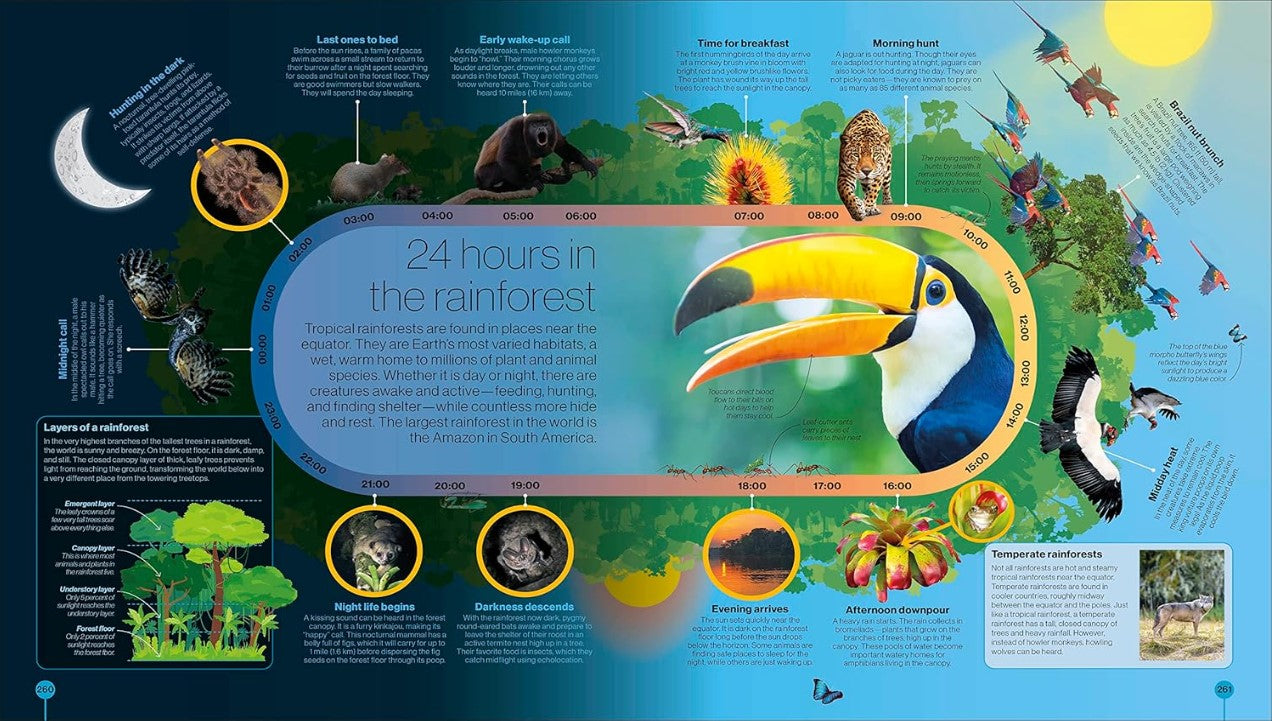 Timelines of Nature