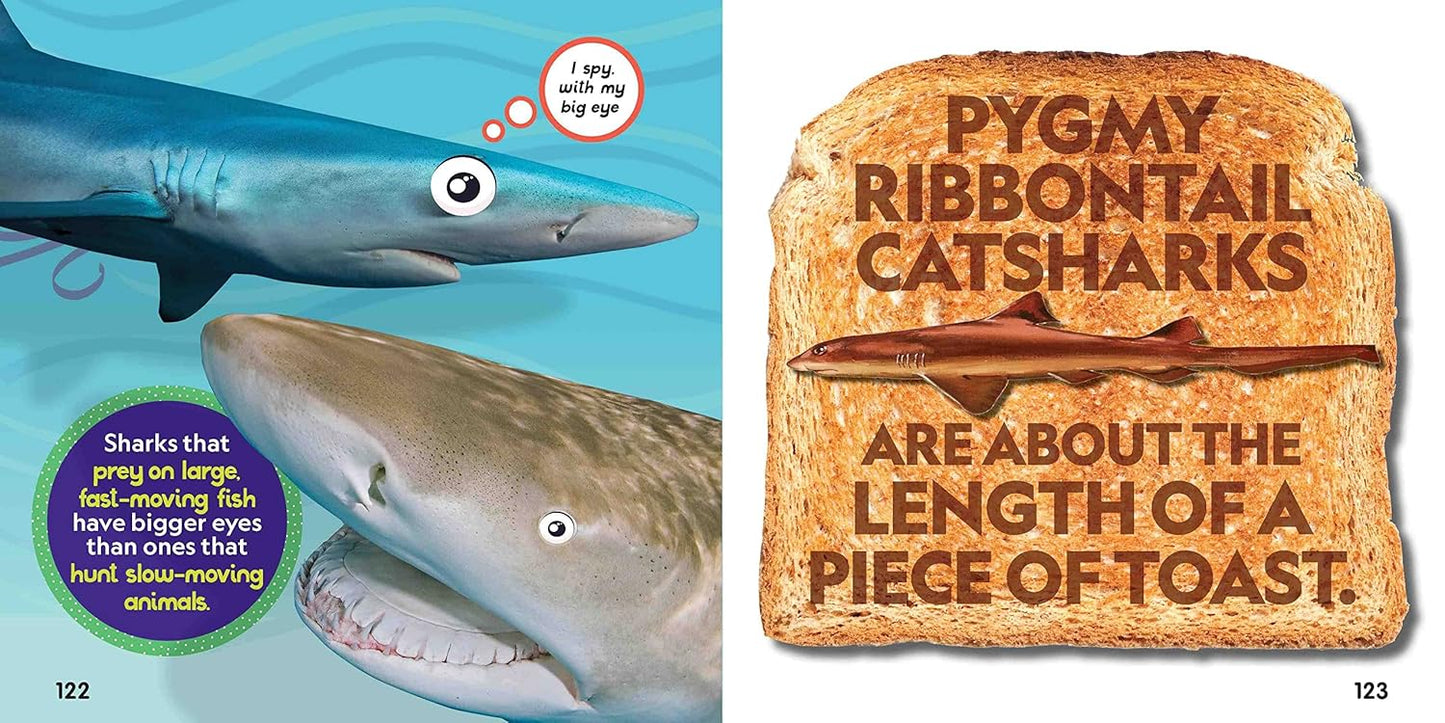 Weird But True! Sharks