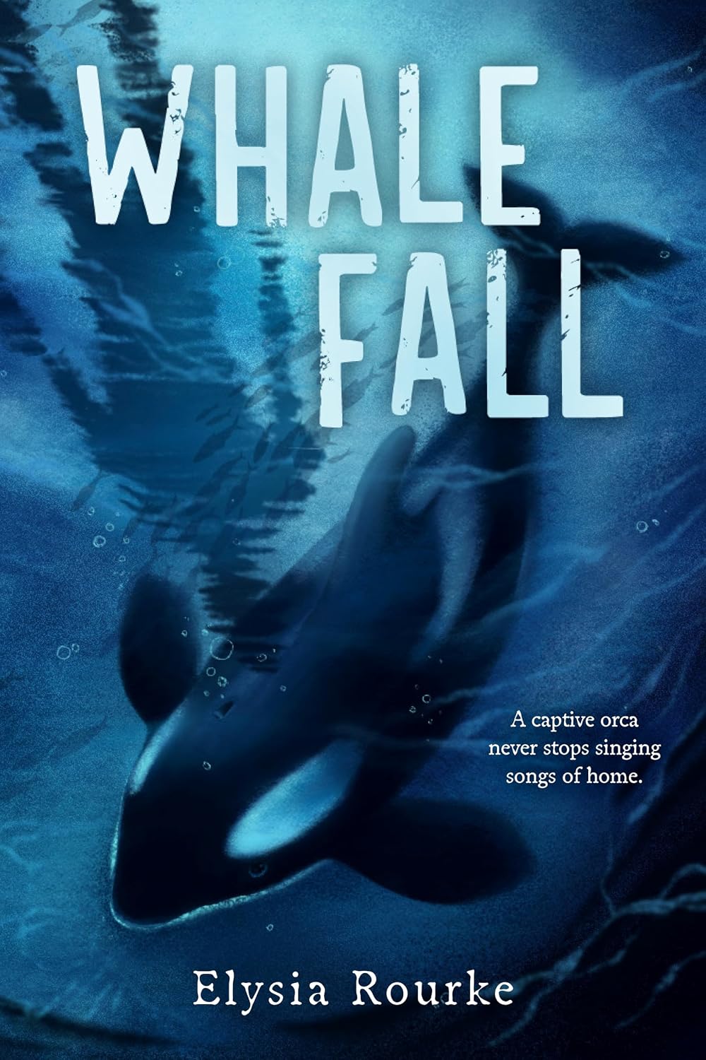 Whale Fall