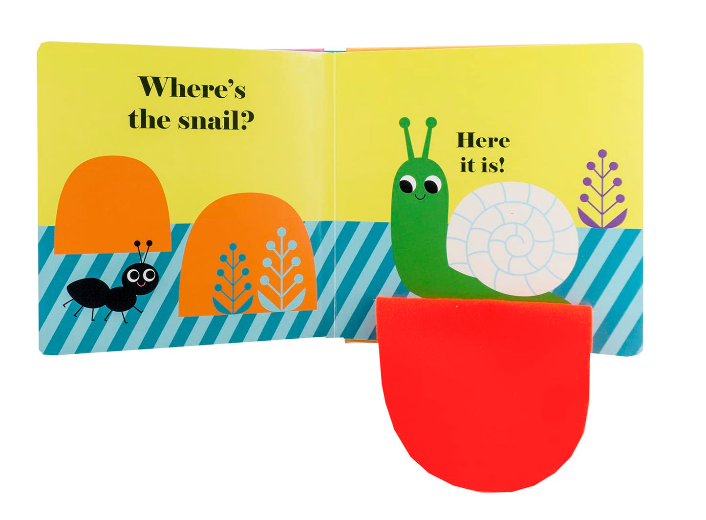 Where's the Ladybug?