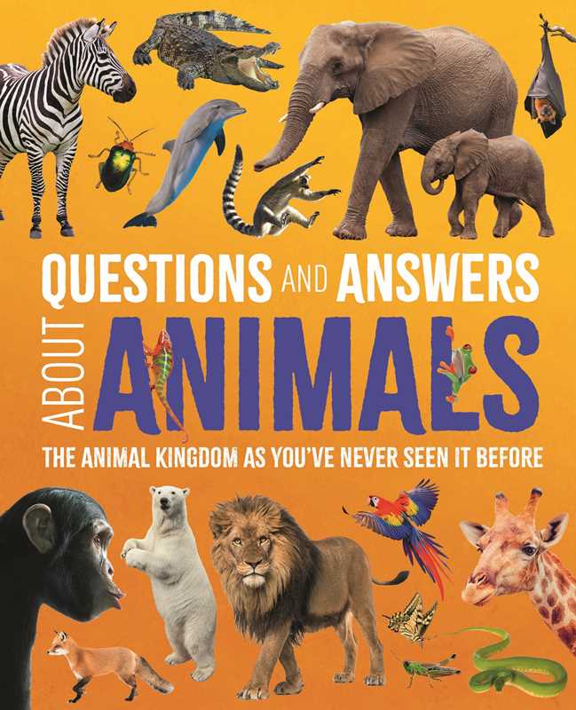 Questions and Answers About Animals by Dr Michael Leach: Hardcover; 128 pages / English