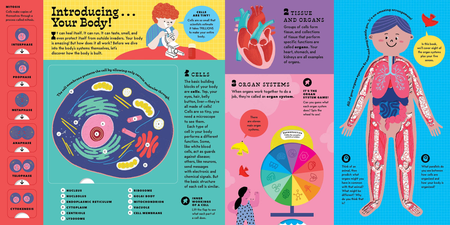 The Interactive Human Body