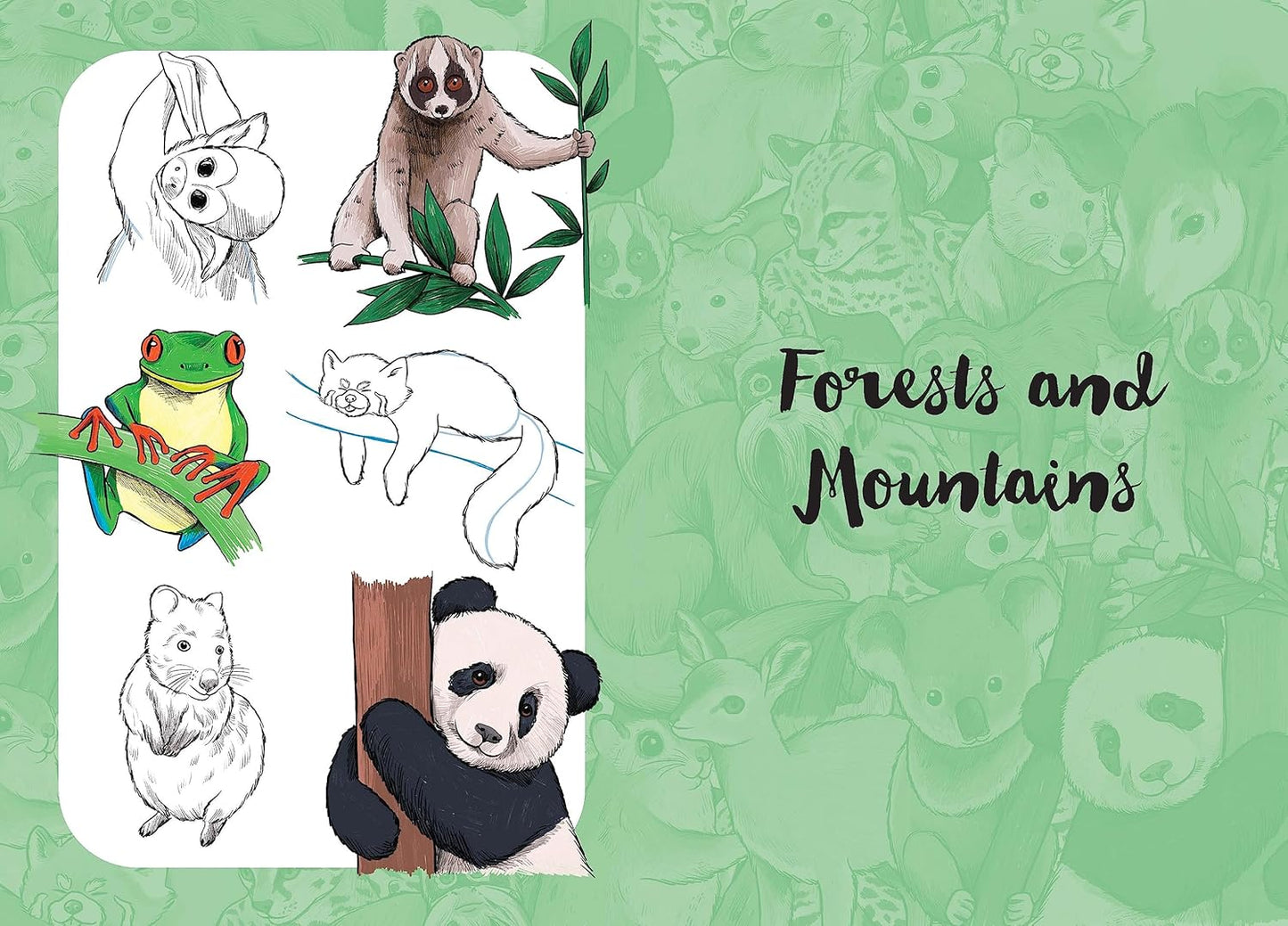 10 Step Drawing: Cute Animals