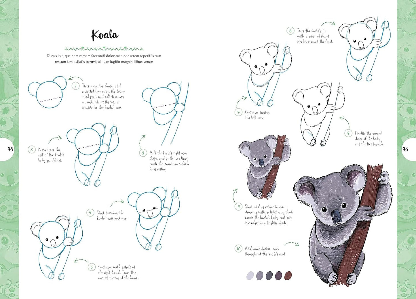 10 Step Drawing: Cute Animals