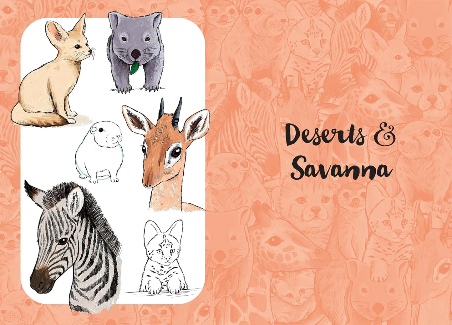 10 Step Drawing: Cute Animals