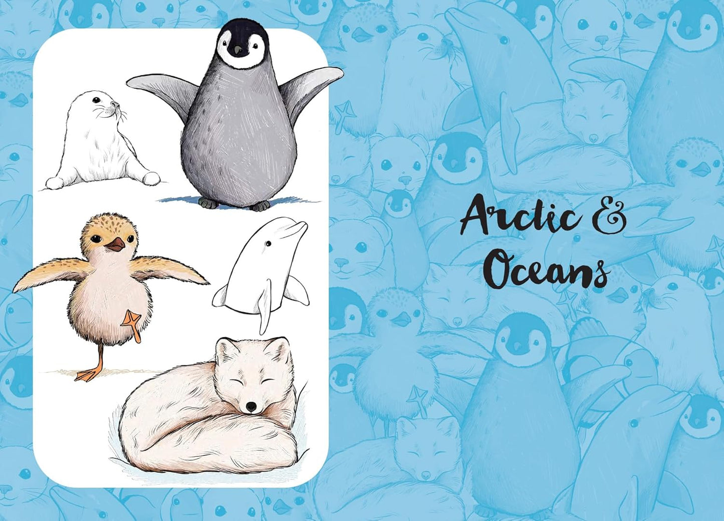 10 Step Drawing: Cute Animals