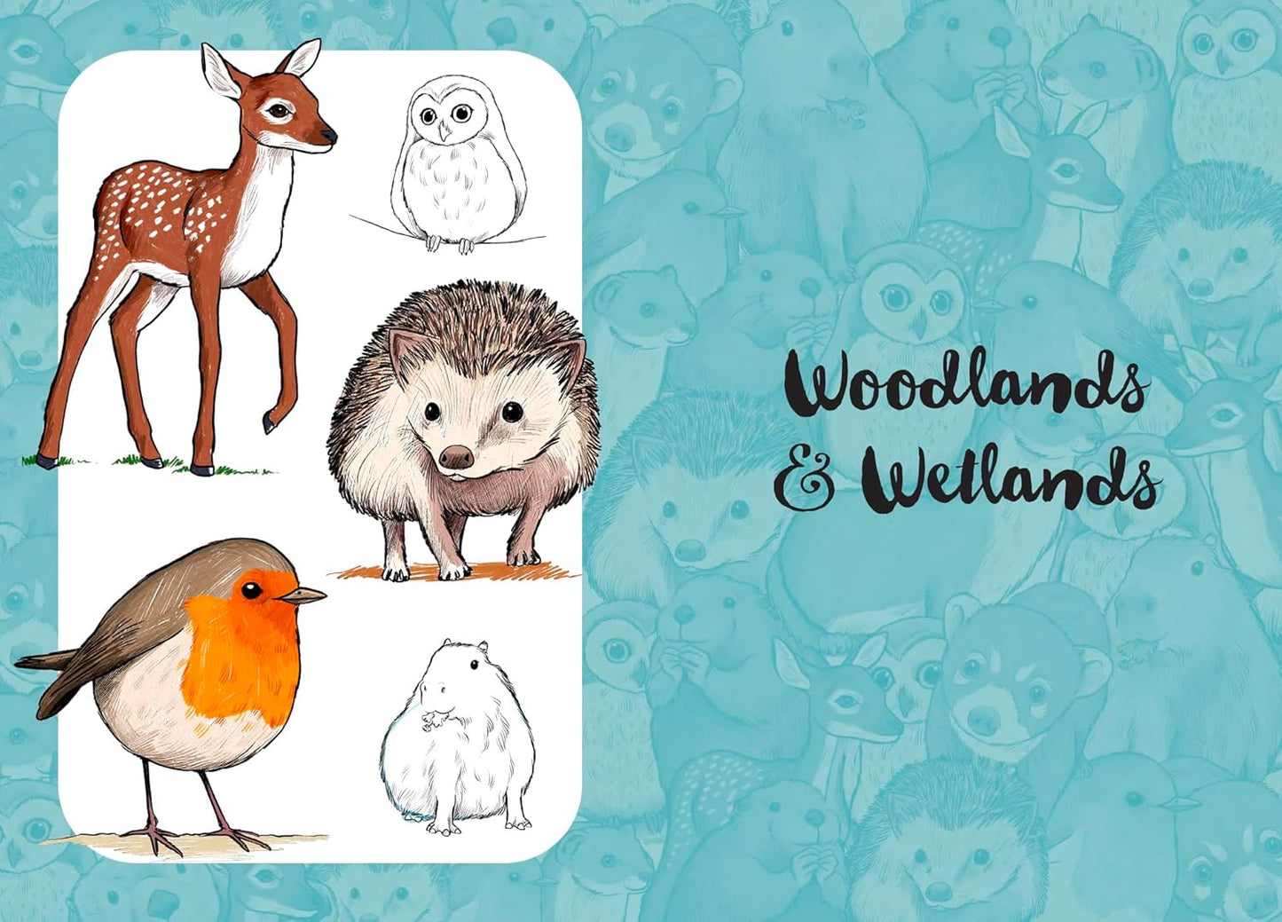 10 Step Drawing: Cute Animals