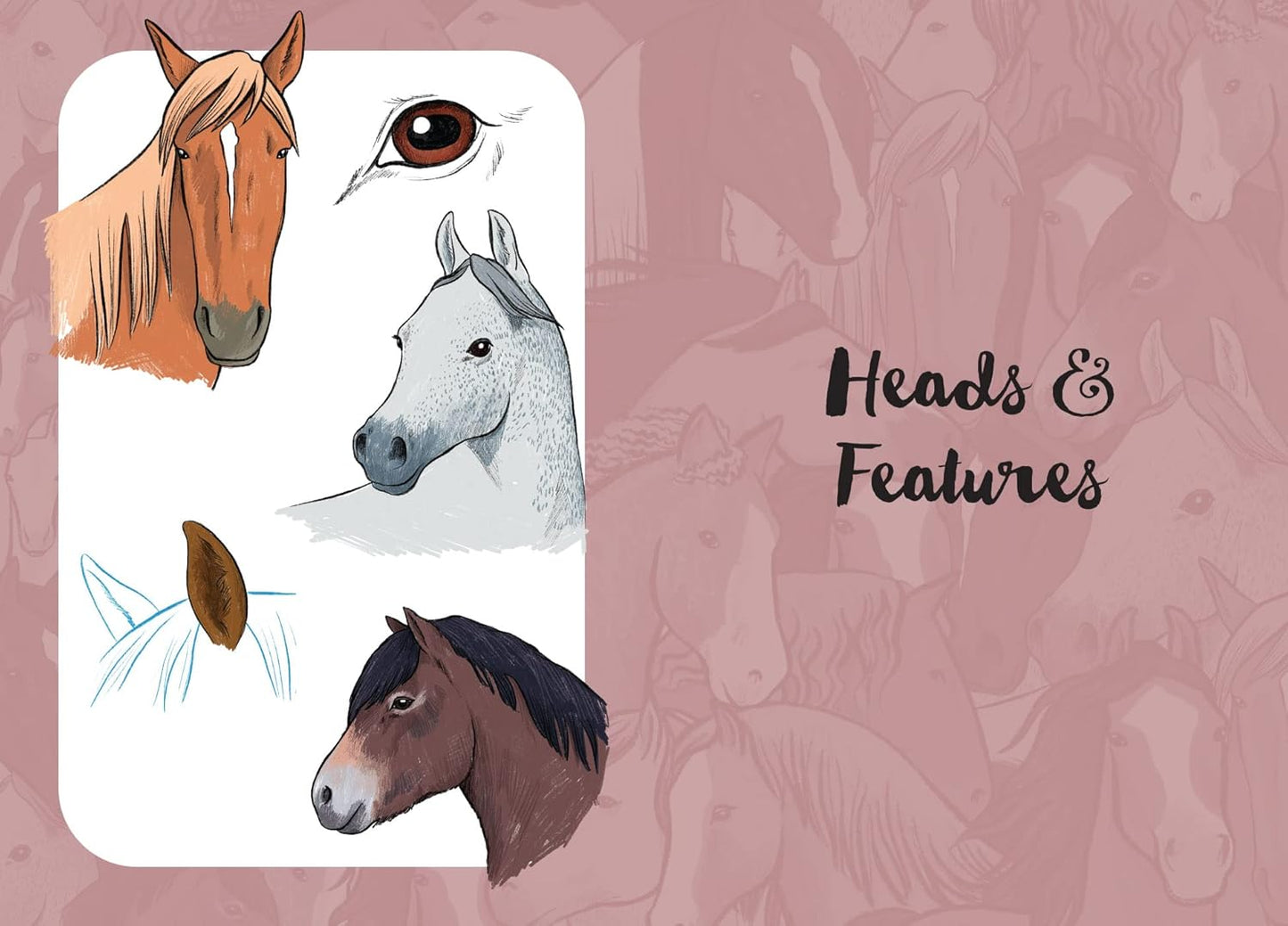 10 Step Drawing: Horses & Ponies