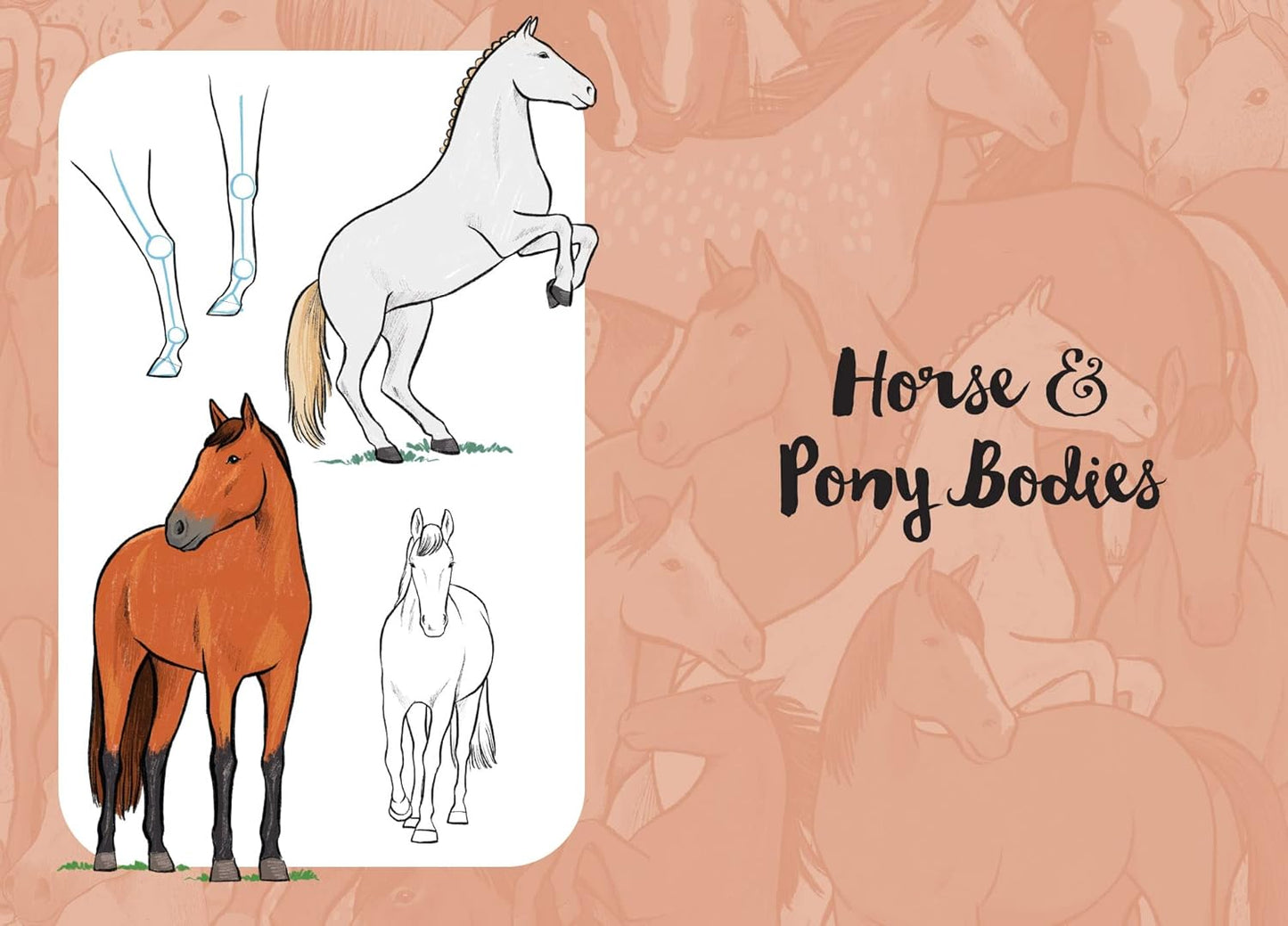 10 Step Drawing: Horses & Ponies