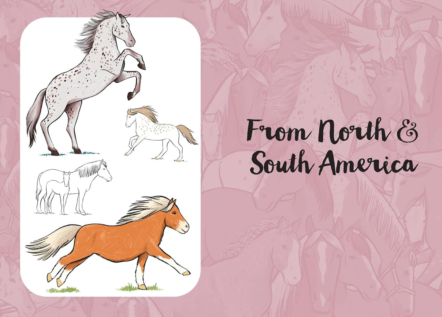 10 Step Drawing: Horses & Ponies