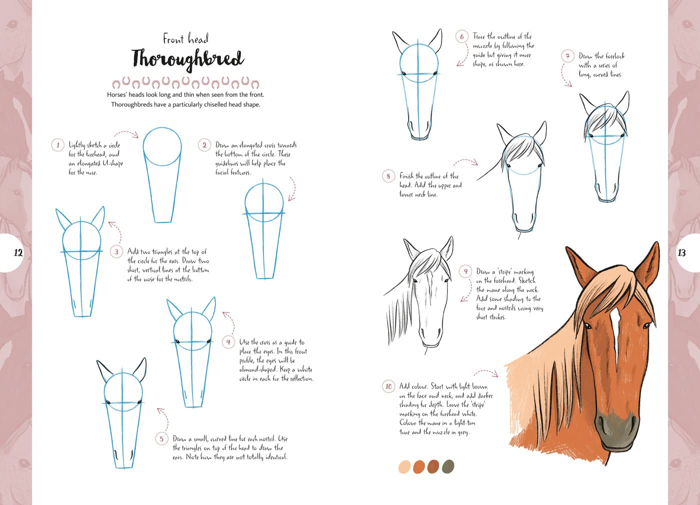 10 Step Drawing: Horses & Ponies