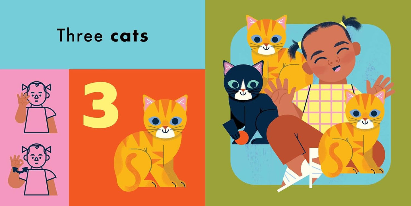 The 123s of Baby's Needs: A Sign Language Book for Babies