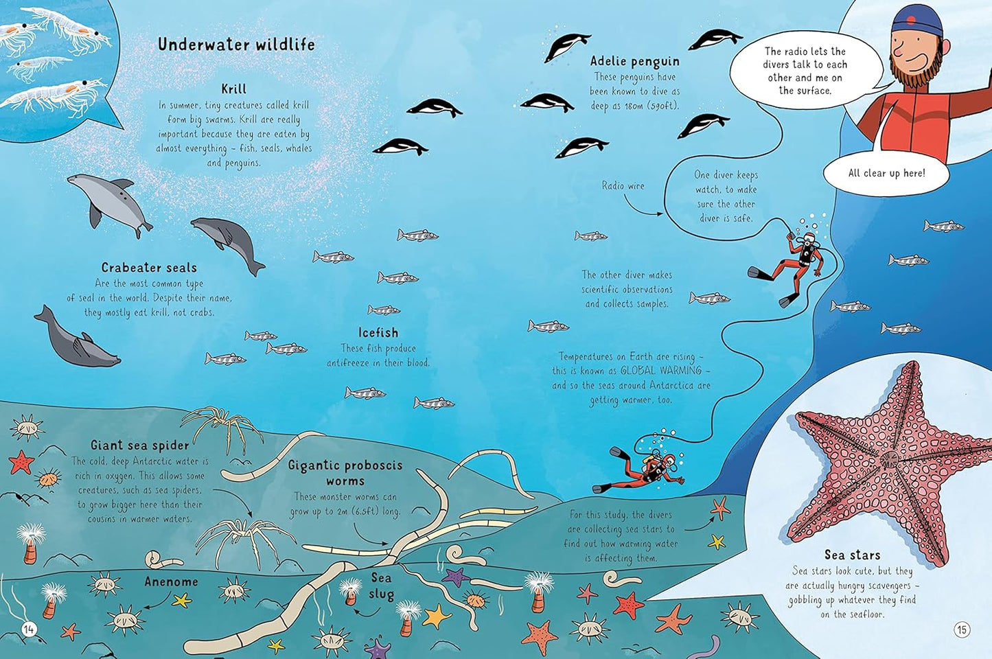 24 Hours in Antarctica