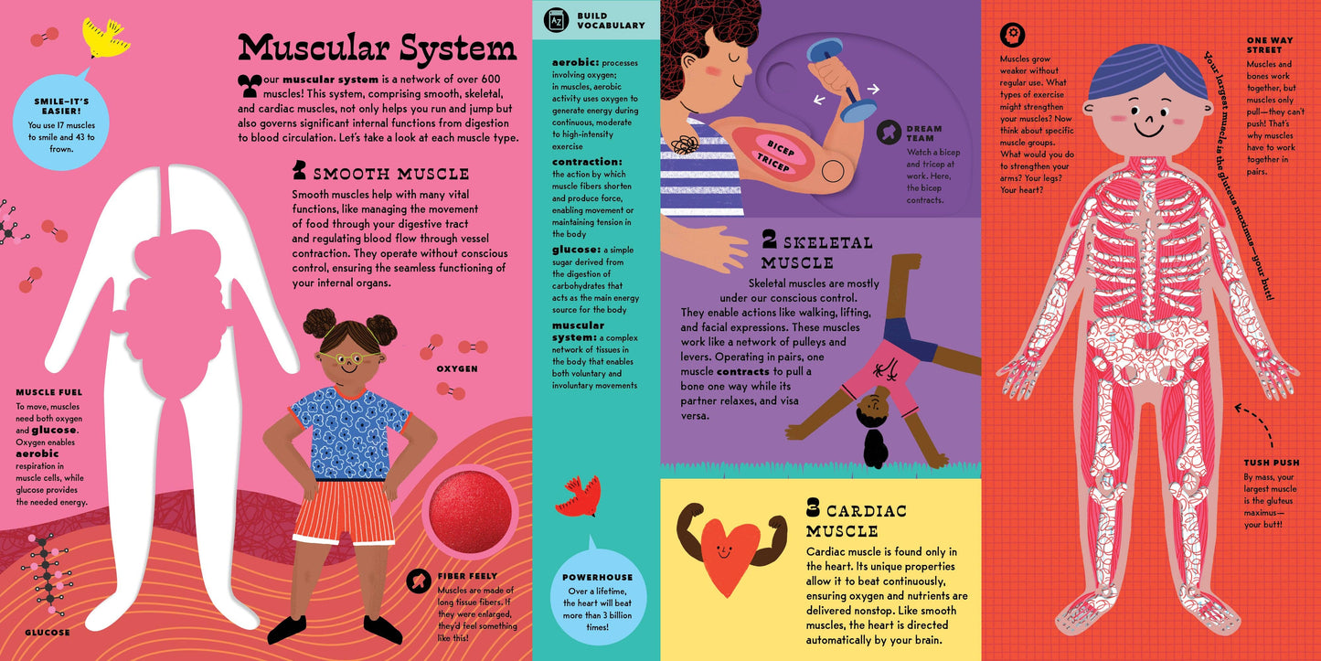 The Interactive Human Body
