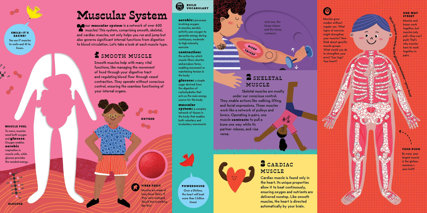 The Interactive Human Body