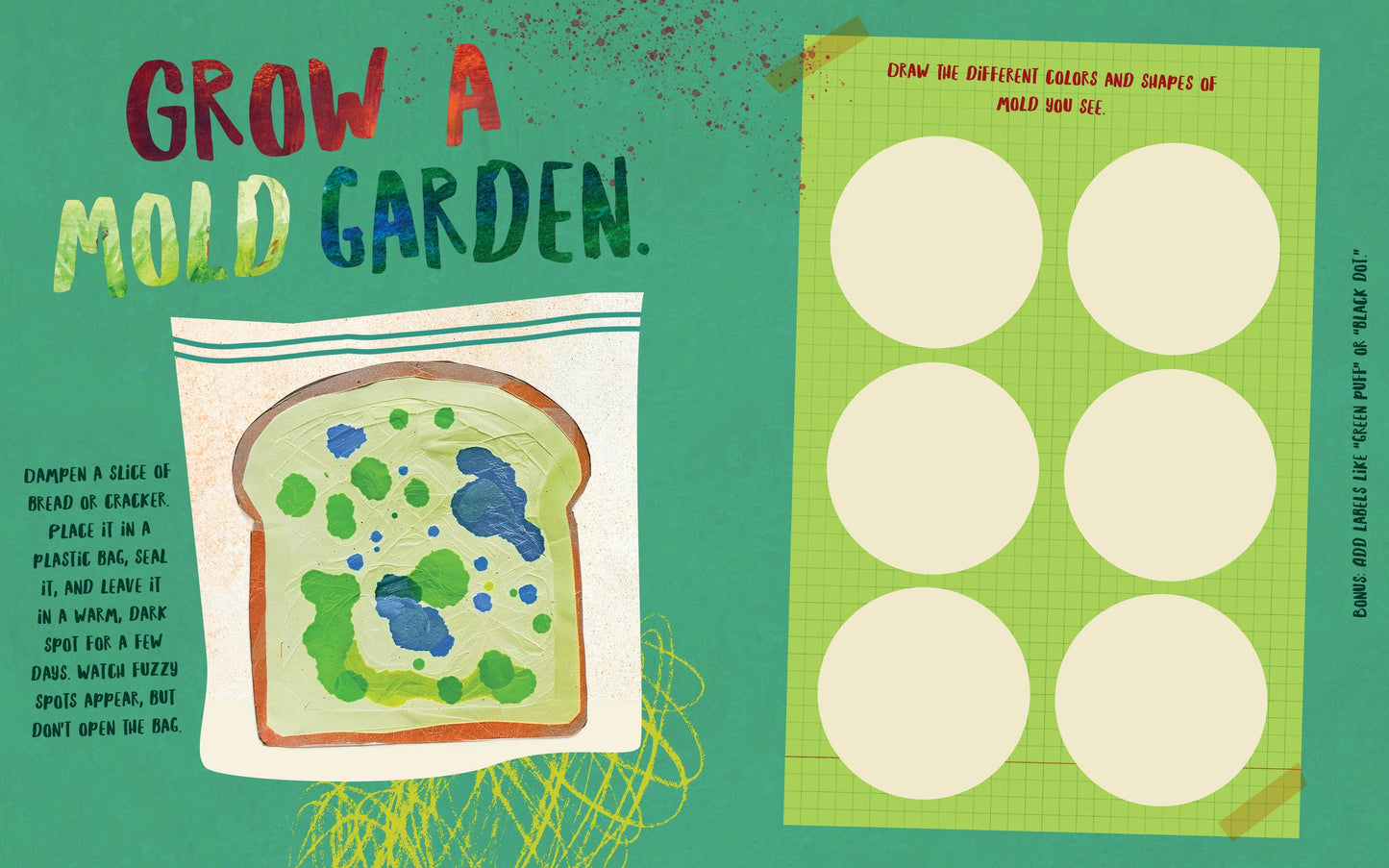 Zap This Science Book!  A Daring Lab Journal with 45 Activities