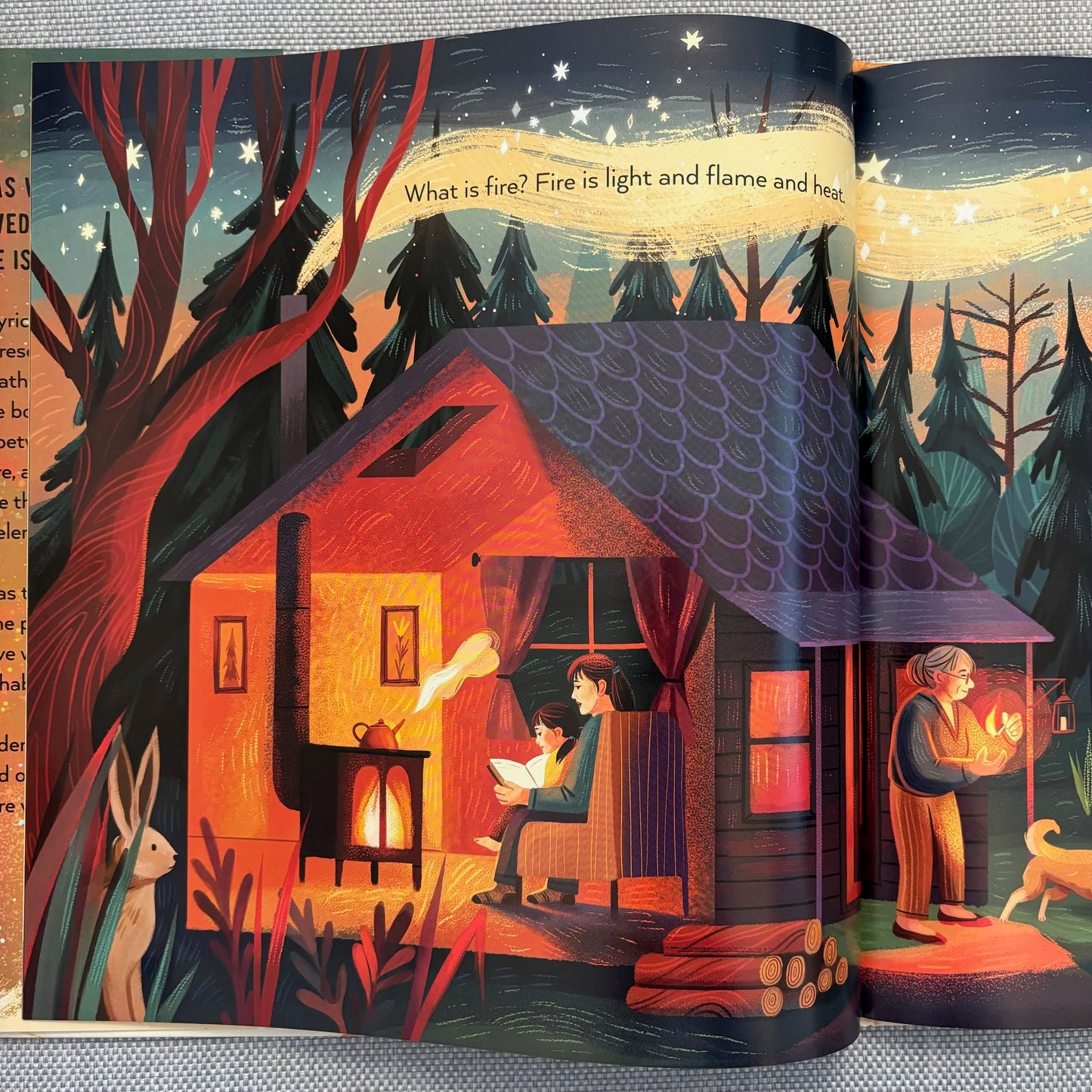 Fire Shapes the World