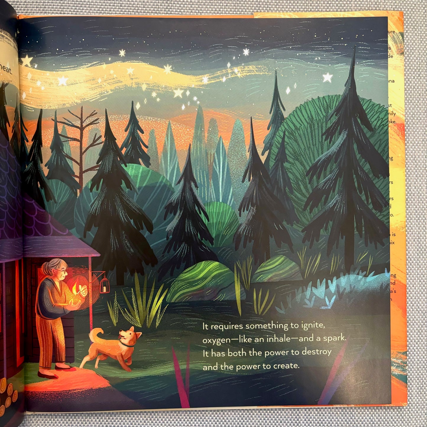 Fire Shapes the World