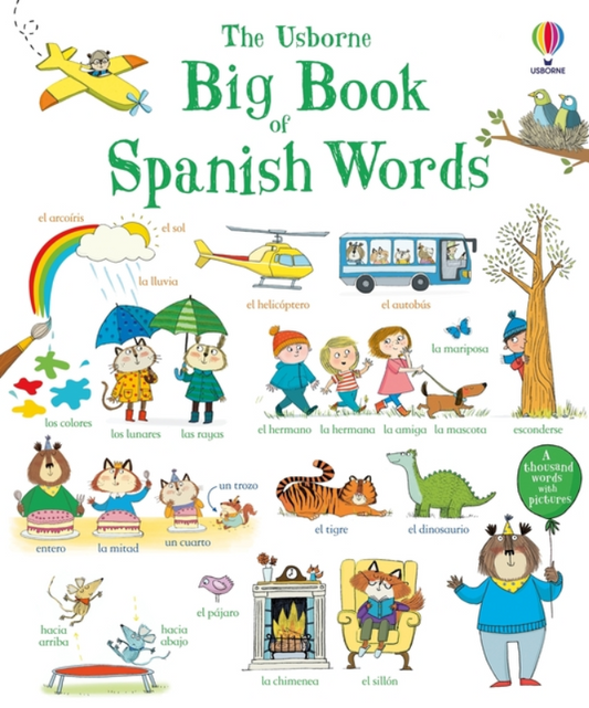 The Usborne Big Book of Spanish Words