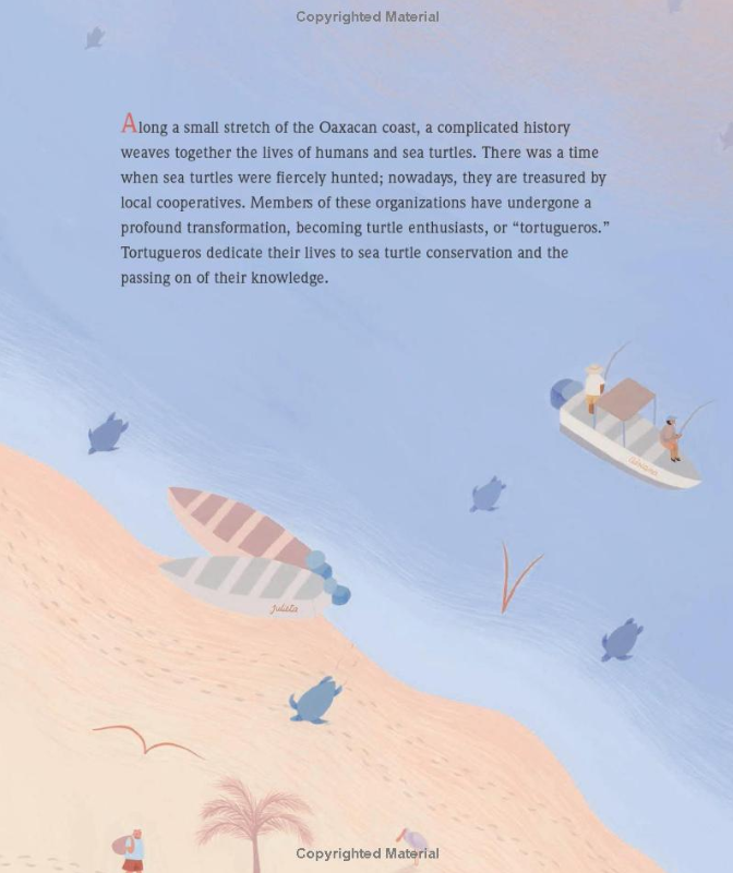 Pearls in the Sand: Protecting Sea Turtles in Oaxaca