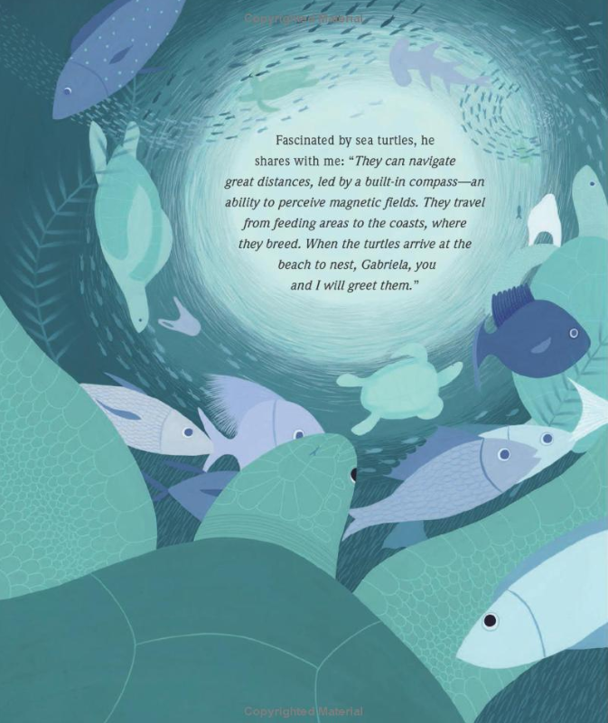 Pearls in the Sand: Protecting Sea Turtles in Oaxaca