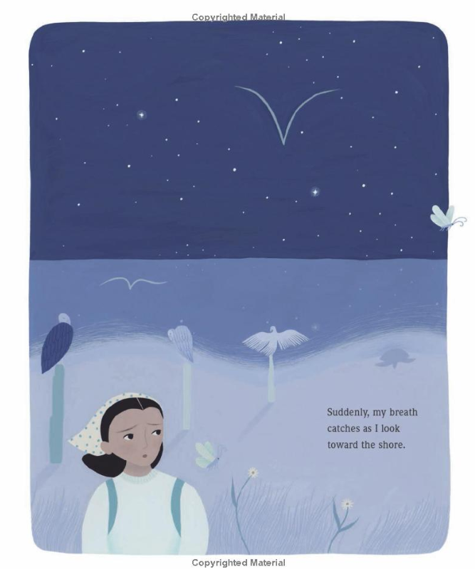 Pearls in the Sand: Protecting Sea Turtles in Oaxaca