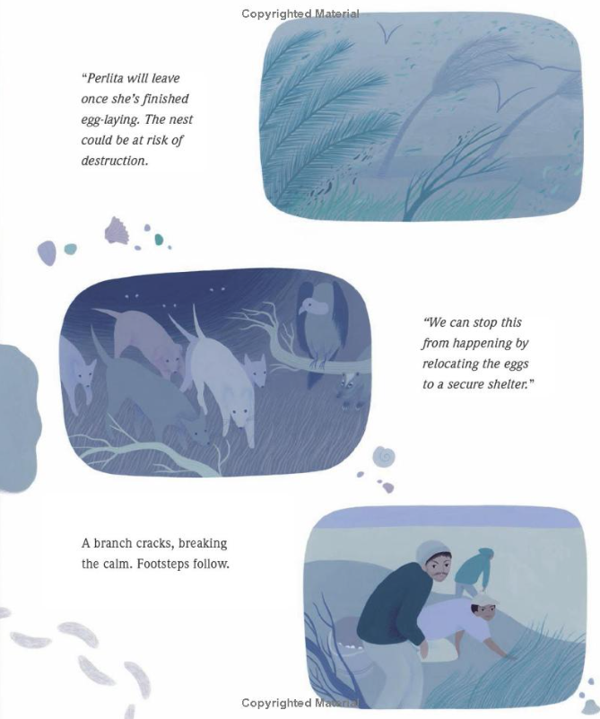 Pearls in the Sand: Protecting Sea Turtles in Oaxaca