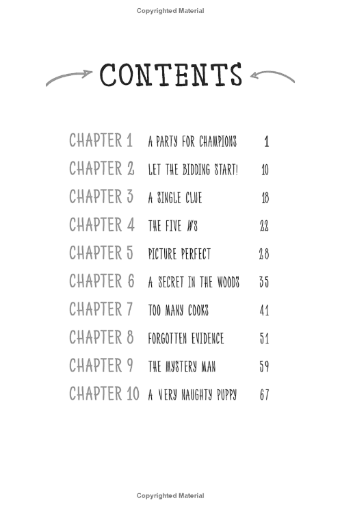 Hardy Boys Clue Book #1: The Video Game Bandit