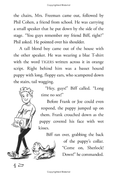 Hardy Boys Clue Book #1: The Video Game Bandit