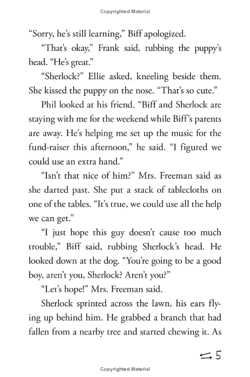 Hardy Boys Clue Book #1: The Video Game Bandit