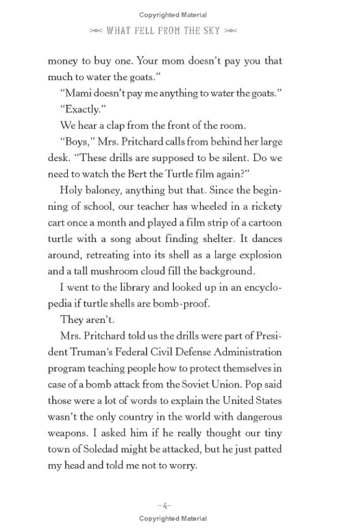 What Fell From the Sky