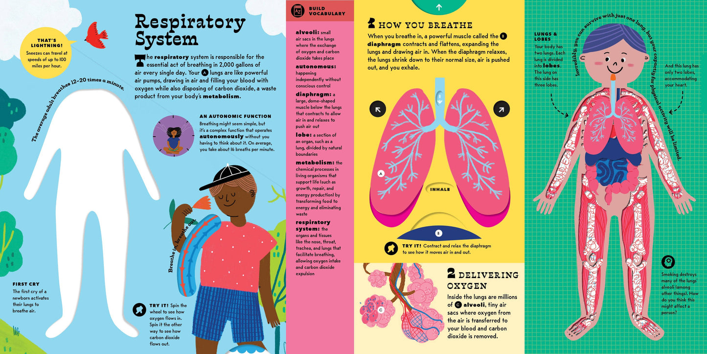 The Interactive Human Body