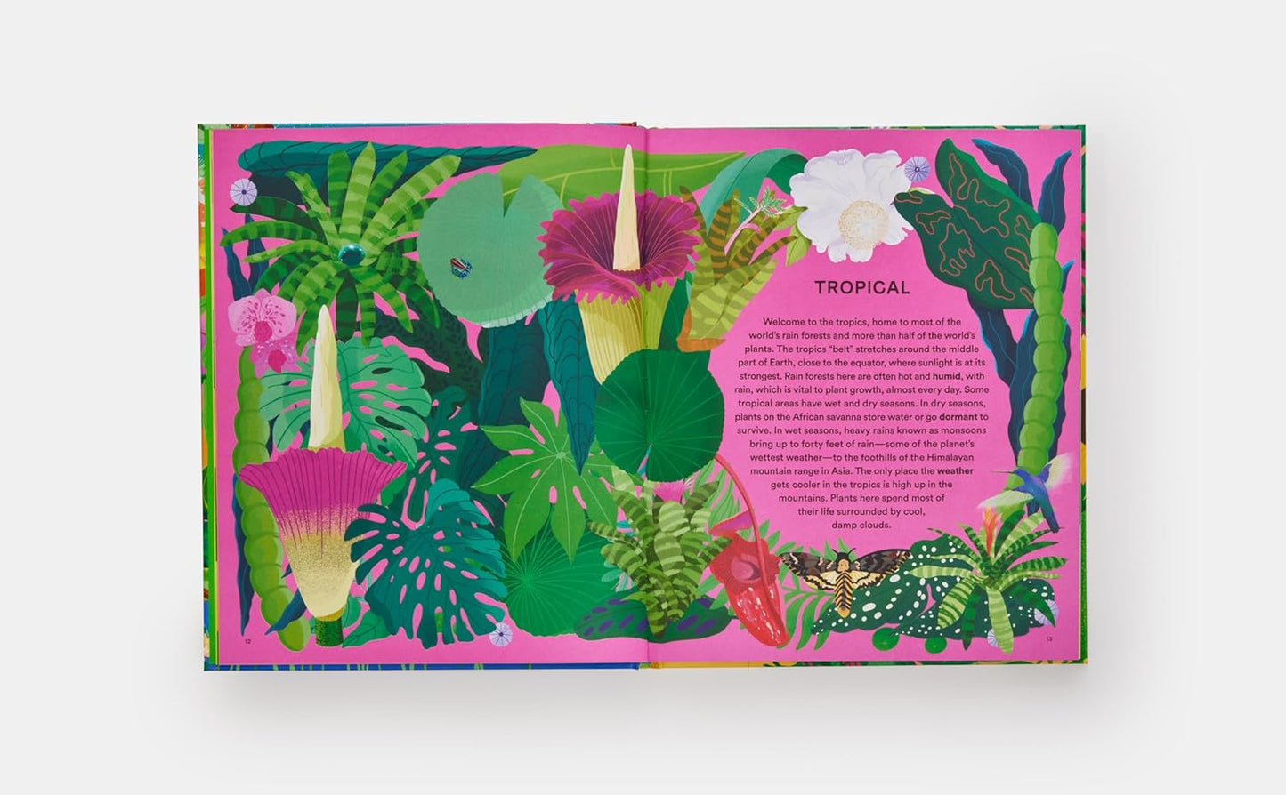 A Home for Every Plant: Wonders of the Botanical World