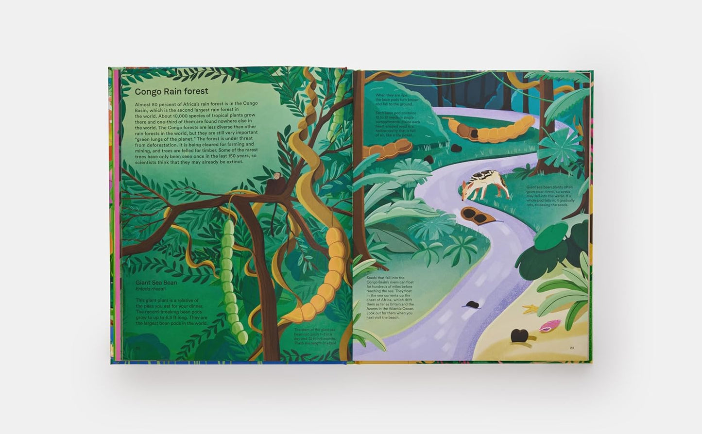 A Home for Every Plant: Wonders of the Botanical World