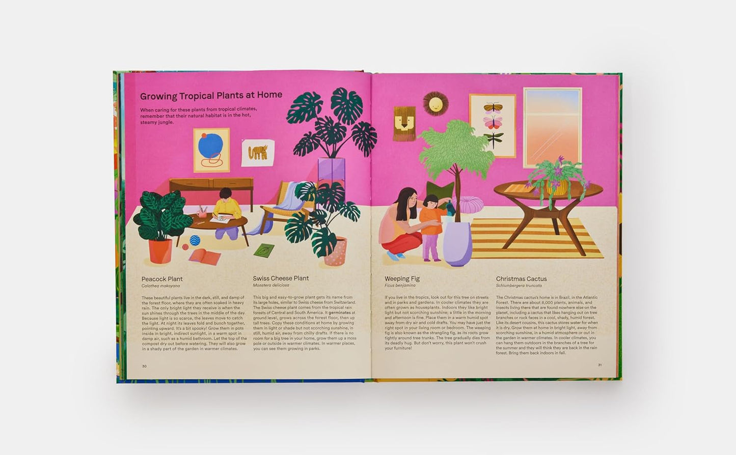 A Home for Every Plant: Wonders of the Botanical World