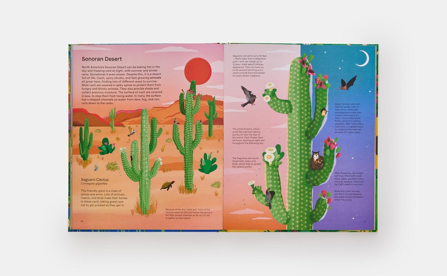 A Home for Every Plant: Wonders of the Botanical World