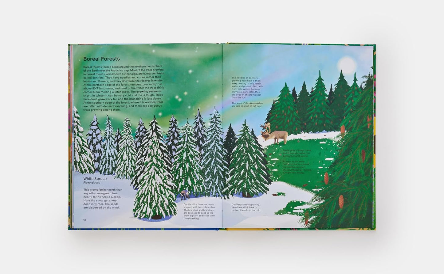 A Home for Every Plant: Wonders of the Botanical World