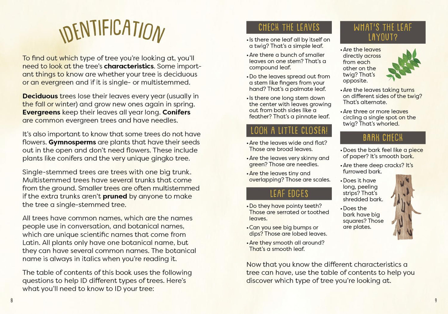 A Kid's Guide to Backyard Trees