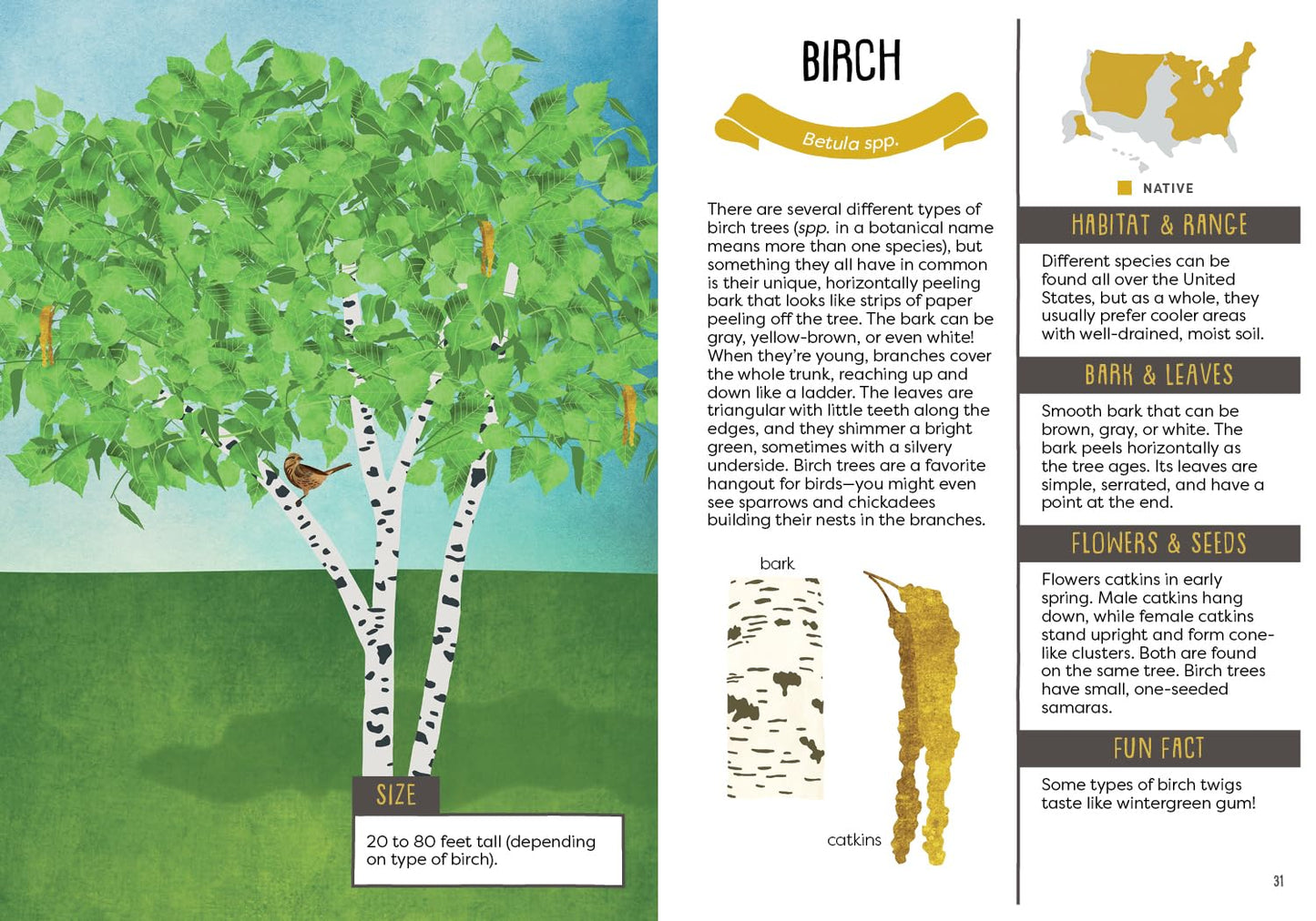A Kid's Guide to Backyard Trees