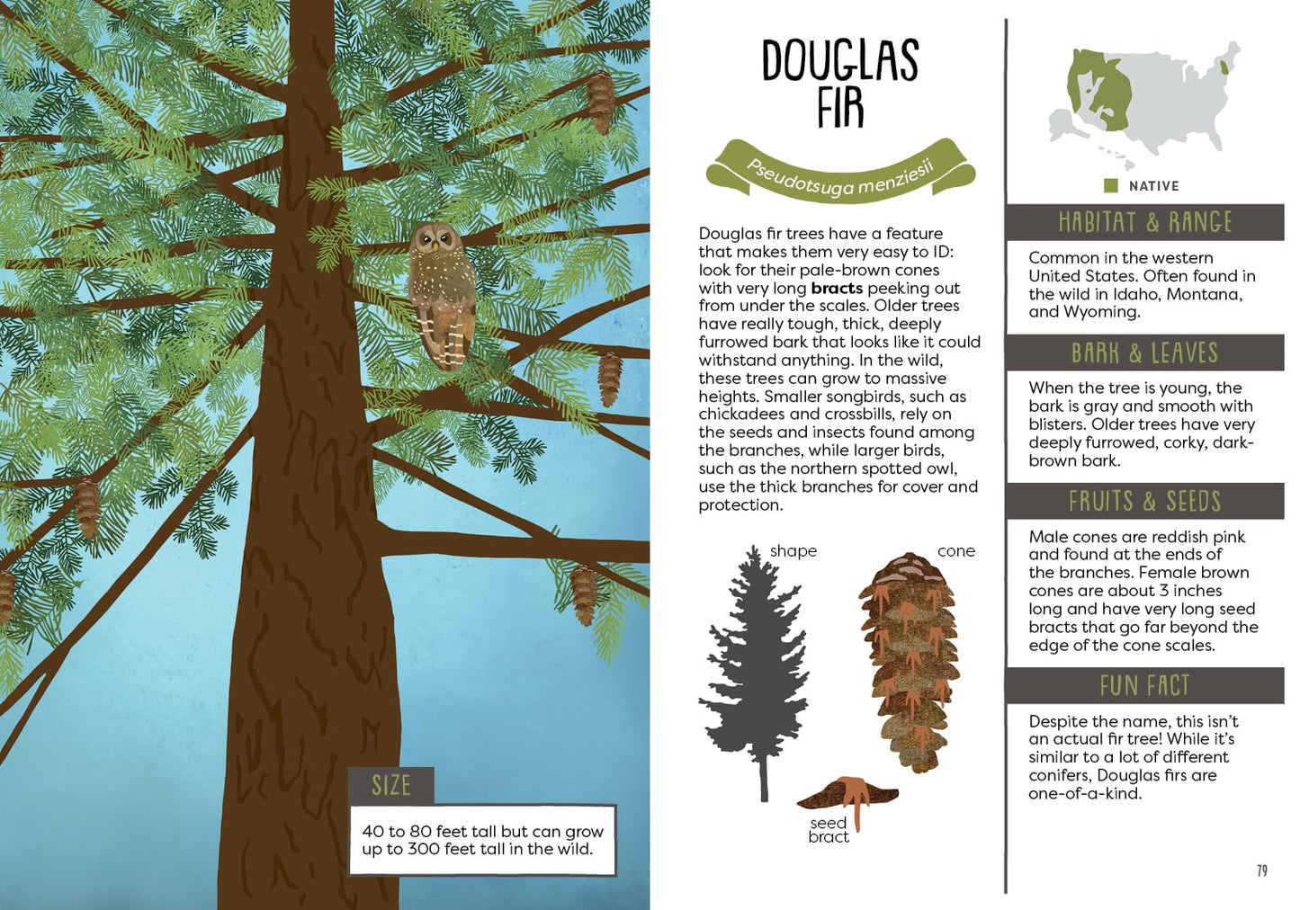 A Kid's Guide to Backyard Trees