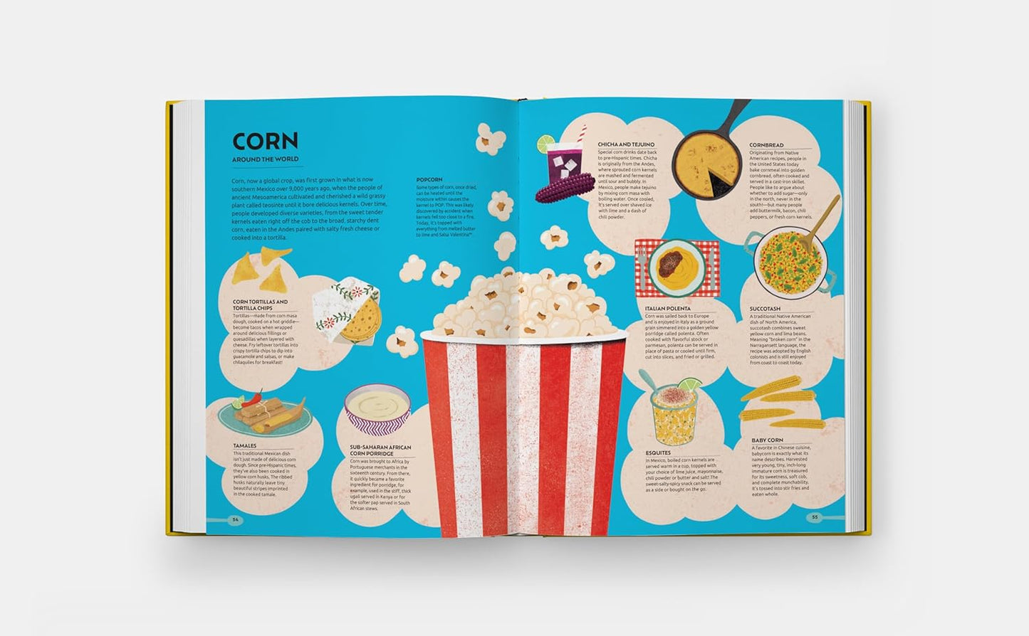 A World of Flavor: A Celebration of Food and Recipes from Around the Globe