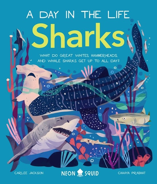 A Day in the Life: Sharks