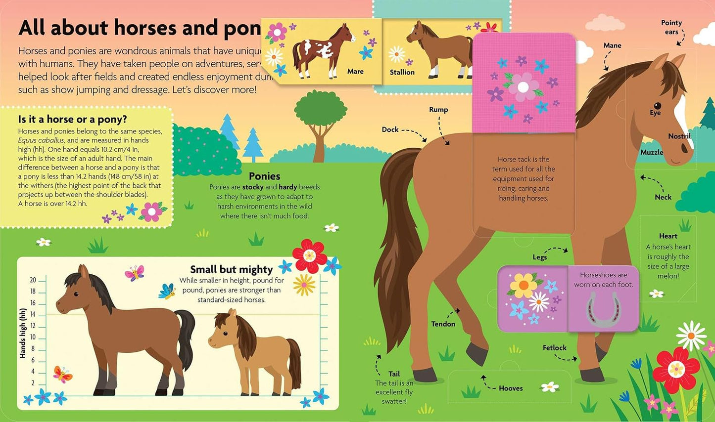 All about Horses & Ponies