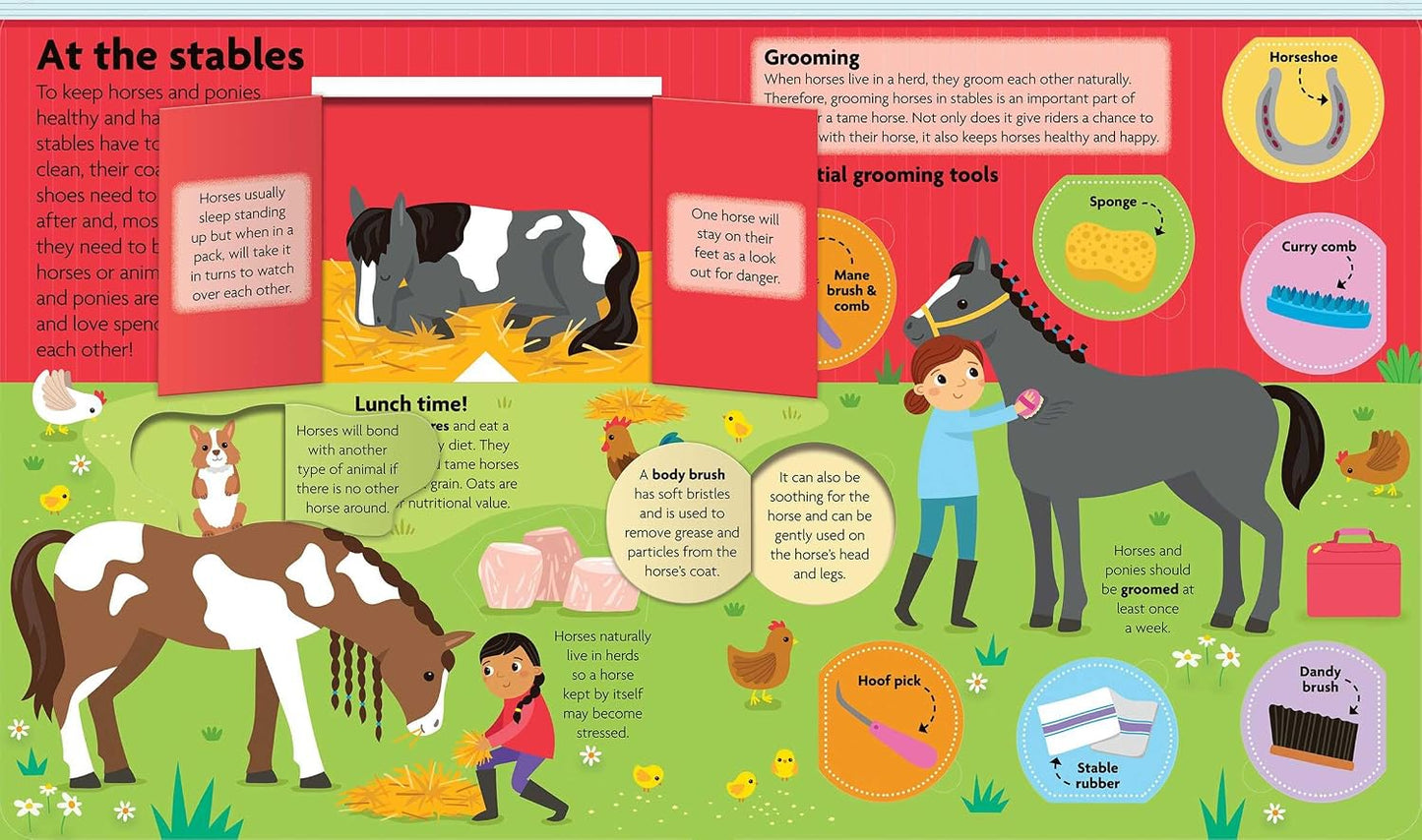 All about Horses & Ponies
