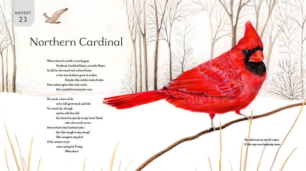 All Creation Waits Children's Edition: The Advent Mystery of New Beginnings