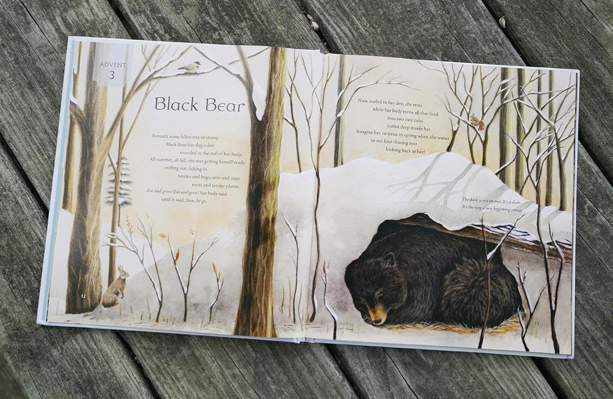 All Creation Waits Children's Edition: The Advent Mystery of New Beginnings