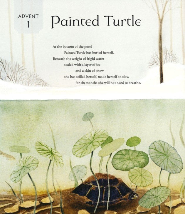 All Creation Waits Children's Edition: The Advent Mystery of New Beginnings