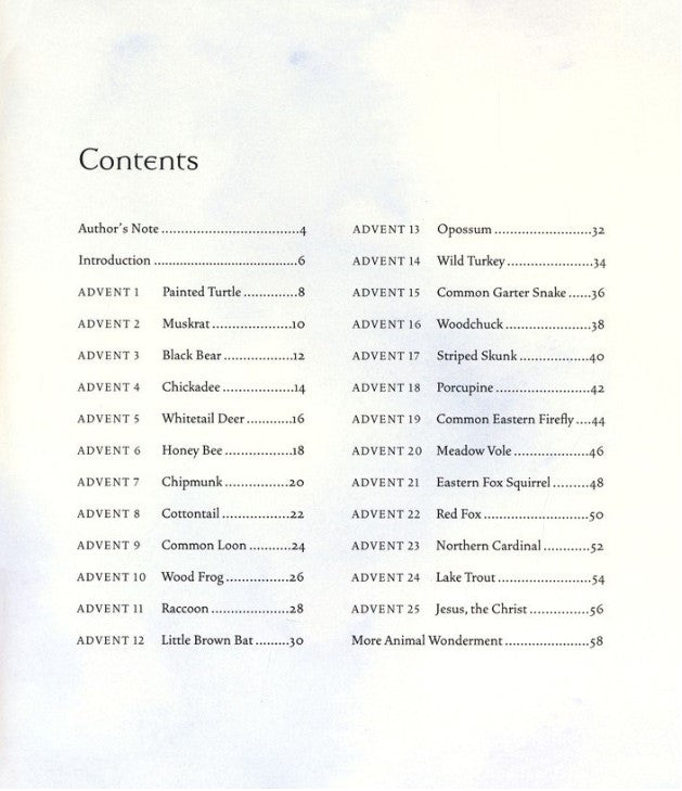 All Creation Waits Children's Edition: The Advent Mystery of New Beginnings