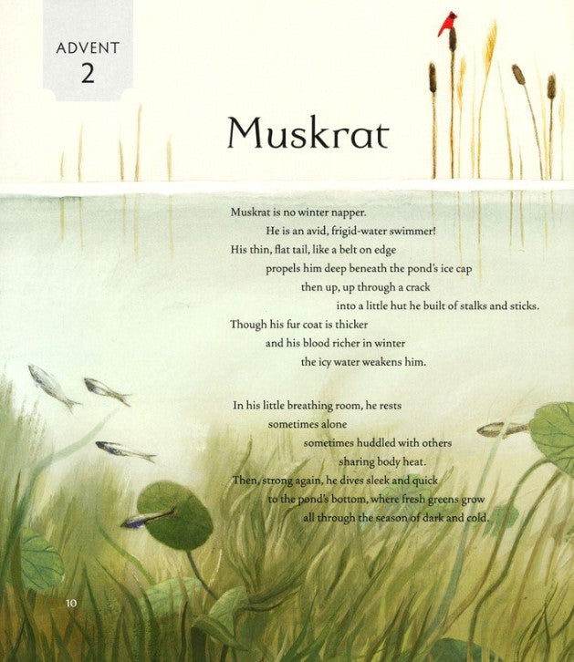 All Creation Waits Children's Edition: The Advent Mystery of New Beginnings