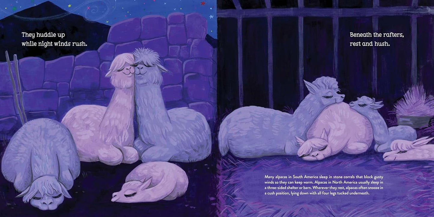 Alpacas Here, Alpacas There